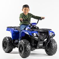 Yamaha Grizzly 24 Volt Ride On Boys